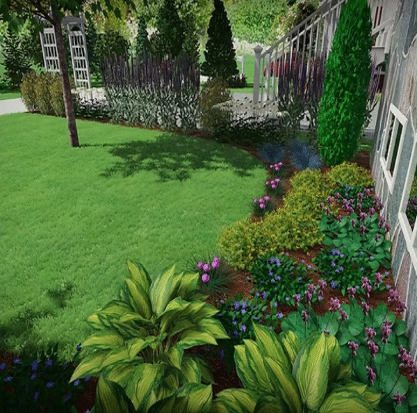 Front Yard Tree, Beds & Plants 3D Design