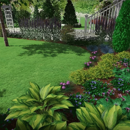 Front Yard Tree Beds & Plants