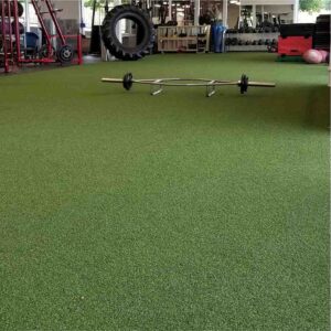Indoor Gym Turf